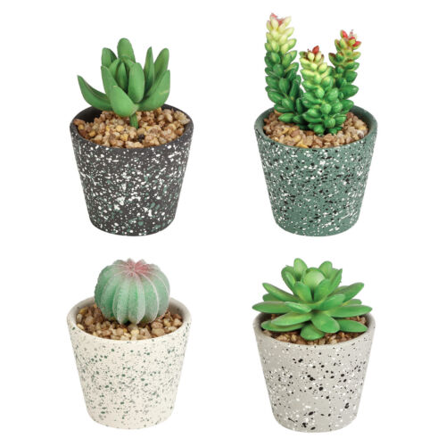 4x Artificial Succulents Plant Mini Gardens Terracotta Pots