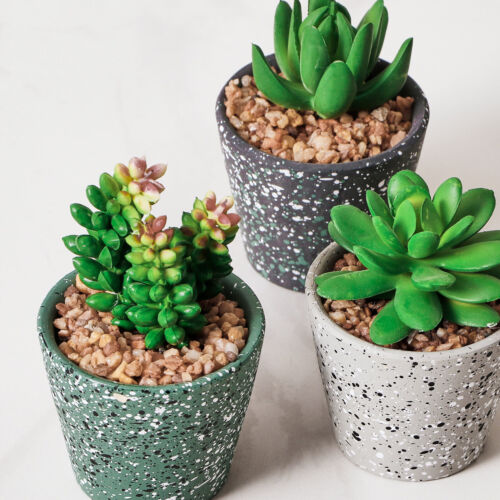 4x Artificial Succulents Plant Mini Gardens Terracotta Pots